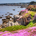 Monterey Bay