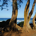 Koki Beach