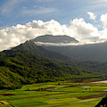 Mt. Waialeale