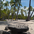 Place of Refuge