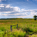 Sandhills Sky